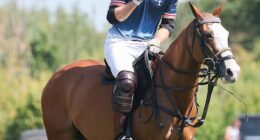 The Prince of Wales was beaming as he arrived for a high-profile charity polo match in Windsor today