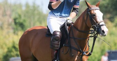 The Prince of Wales was beaming as he arrived for a high-profile charity polo match in Windsor today