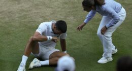 Wimbledon 2025 live: Novak Djokovic injury latest for Jannik Sinner match plus Carlos Alcaraz vs Taylor Fritz