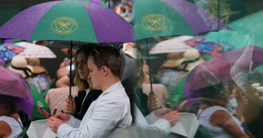 Wimbledon 2025 live: Tennis scores and results Kartal faces Tomova and Norrie plays Tiafoe after rain delay