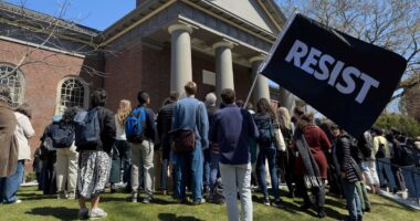 With Columbia as a model, White House seeks fines in potential deals with Harvard and others