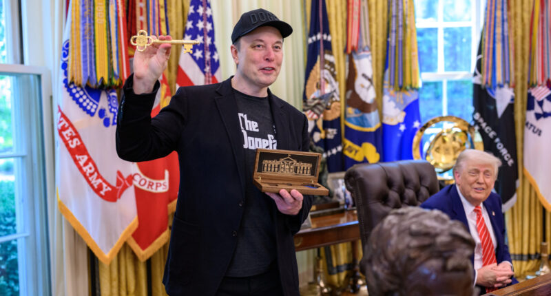 Without Subsidy, He'd Be Back in Africa... DOGE Might Have to Eat Elon.