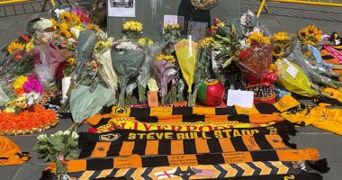 Wolves have revealed plans to install a permanent memorial in tribute to Diogo Jota
