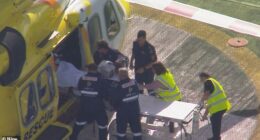 Paramedics treat a woman who has had her arm ripped off following a horrific lion attack at a Queensland zoo