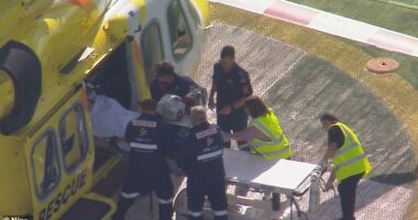 Paramedics treat a woman who has had her arm ripped off following a horrific lion attack at a Queensland zoo