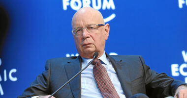 World Economic Forum Doctored Data to Make Brexit Look Bad.