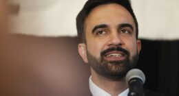 Zohran Mamdani Said He Was Black on Columbia University Application