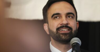 Zohran Mamdani Said He Was Black on Columbia University Application