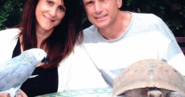 ‘American Idol’ Exec. & Husband Were Fatally Shot by Own Gun Before Suspect Called 911 Himself