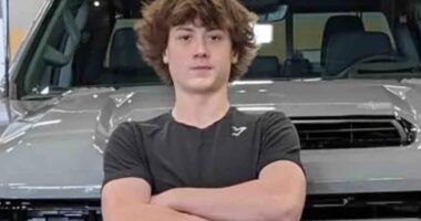 ‘He felt something crawl on him’: Simple spider bite leaves teen with failing kidneys and unable to speak