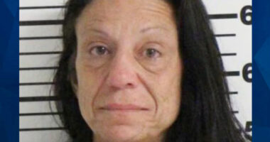 ‘I Want That Baby’: Random Woman Breaks Into Home to Steal Infant From Family