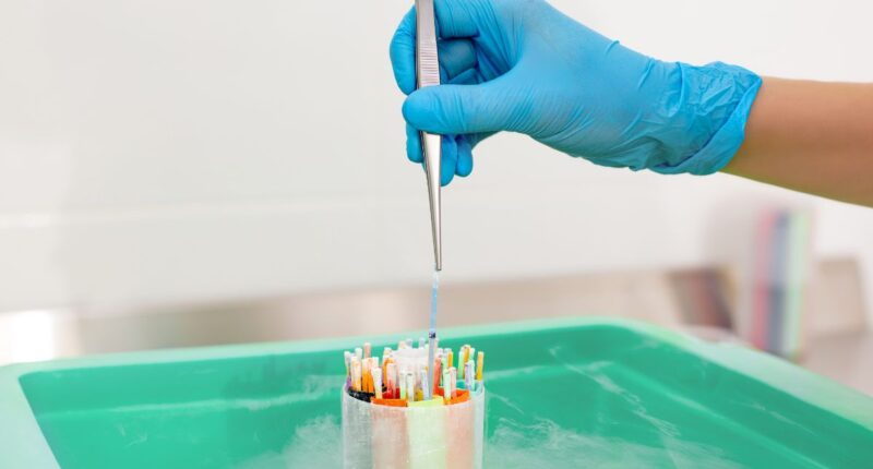 IVF cryo tube