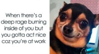 102 Hilariously Accurate Work Memes For Everyone Ready To Retire (New Pics)