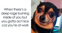 102 Hilariously Accurate Work Memes For Everyone Ready To Retire (New Pics)