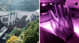 106 Extraordinary And Fascinating Things People Saw And Wanted To Show Others (New Pics)