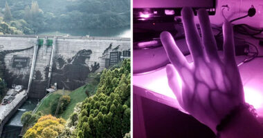 106 Extraordinary And Fascinating Things People Saw And Wanted To Show Others (New Pics)