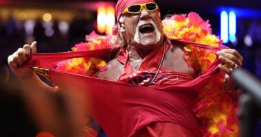 Hulk Hogan died after suffering cardiac arrest at his Clearwater, Florida, last week (pictured in October 2024)