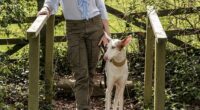 Kate Spicer moved to the Cotswolds after splitting with her partner of 15 years