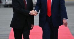 Donald Trump (pictured right) says there are plans underway for an historic meeting between Ukrainian President Volodymyr Zelensky after a phone call with Russian President Vladimir Putin (pictured left)
