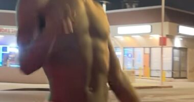 Lil Nas X has been charged with four felonies - including assaulting cops - after his public naked meltdown last week