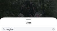 Meghan gave the couple a 'like' on their announcement shortly after it was posted on Tuesday afternoon