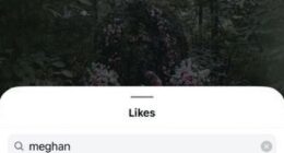 Meghan gave the couple a 'like' on their announcement shortly after it was posted on Tuesday afternoon