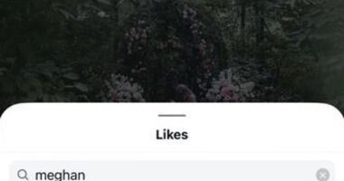 Meghan gave the couple a 'like' on their announcement shortly after it was posted on Tuesday afternoon