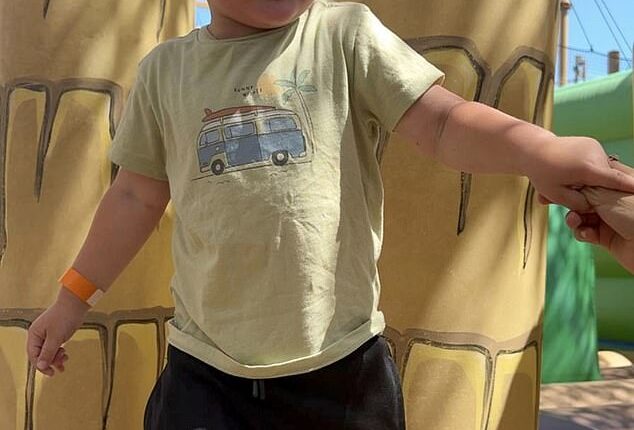 Police in Spain have launched a huge search for a three-year-old British boy who is said to have been abducted by his Russian mother