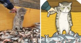 30 Of The Funniest Internet-Famous Cat Pics Get Illustrated By Tactooncat