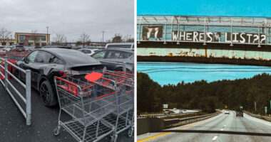 30 Unhinged Actions That Are Actually Great Examples Of Chaotic Good Behavior (New Pics)