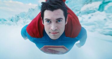 5 Heroes At The Heart of Every Project So Far