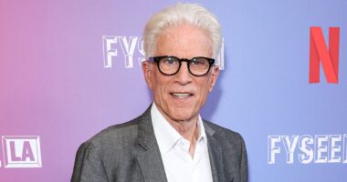 5 Years After 'Cheers,' Ted Danson Starred in a 6-Season Hidden Gem Sitcom You Definitely Forgot About