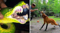 50 Times Nature Made People Say “No, Thank You”