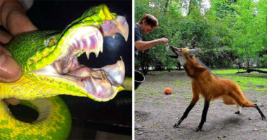 50 Times Nature Made People Say “No, Thank You”