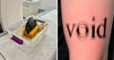 55 Interesting Facts And Stories From Around The World, Backed Up By Pics To Prove Them (New Pics)