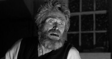 7 Willem Dafoe Movies That Are Masterpieces, Ranked