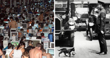 80 Historical Facts And Events That Not Many Talk About