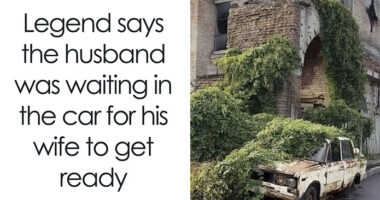 80 Marriage Memes That Are Funny Because They’re True
