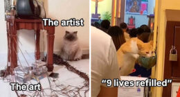 80 Times Cats Committed The Most Annoying Crimes But People Just Couldn’t Be Mad At Them (New Pics)