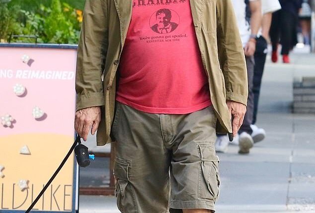 An 80s star who once worked with Madonna looked unrecognizable as he took a walk through New York City earlier this week