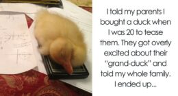 86 Small Lies That Escalated Into “This Is My Life Now”