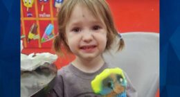 AMBER Alert: 3-Year-Old Texas Tot Missing Since July