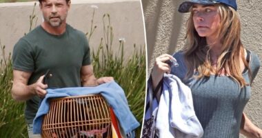 Aaron Phypers hits back at Denise Richards’ claims he put down their dog without permission
