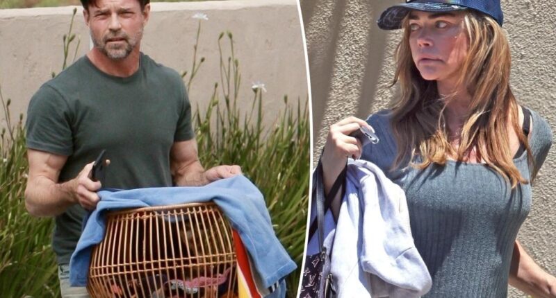 Aaron Phypers hits back at Denise Richards’ claims he put down their dog without permission
