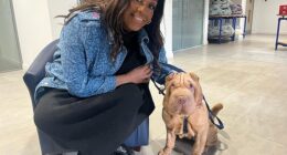 Alison Hammond has hit back at her critics who claim she shouldn't be hosting For The Love Of Dogs in a brand new interview this week