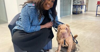 Alison Hammond has hit back at her critics who claim she shouldn't be hosting For The Love Of Dogs in a brand new interview this week