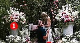 Taylor Swift and Travis Kelce announced their engagement last night