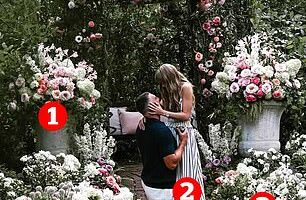 Taylor Swift and Travis Kelce announced their engagement last night