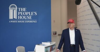 An Open Letter to the Democrats Who Cried 'Wolf!' (Approximately One Billion Times) – RedState