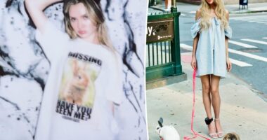 Anna Delvey is selling "Bunnygate" merch